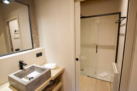Baño con lavabo de piedra, espejo y ducha
